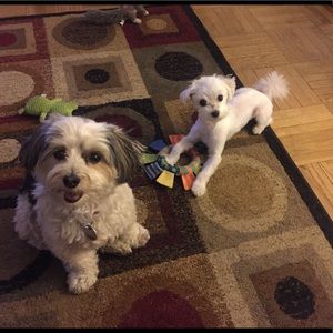 Meet your Posher, Julie-ann